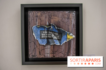 Exposition Les Cages de l'Imaginaire Sandra Chevrier galerie Goldshteyn-Saatort