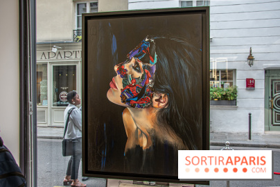 Exposition Les Cages de l'Imaginaire Sandra Chevrier galerie Goldshteyn-Saatort