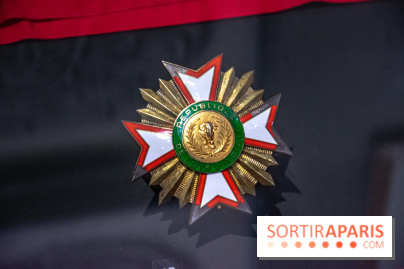 Exposition Le Chevalier du Ciel au Musée de l'Ordre de la Libération