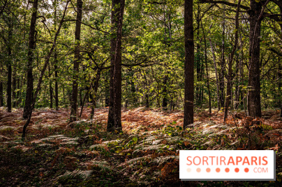 Le sentier des Maréchaux à Senlisse - Vallée de Chevreuse