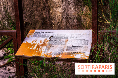 Le sentier des Maréchaux à Senlisse - Vallée de Chevreuse -  A7C2478