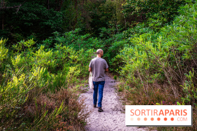 Le sentier des Maréchaux à Senlisse - Vallée de Chevreuse -  A7C2479