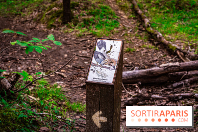 Le sentier des Maréchaux à Senlisse - Vallée de Chevreuse