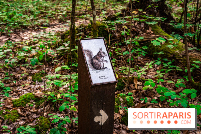 Le sentier des Maréchaux à Senlisse - Vallée de Chevreuse -  A7C2489