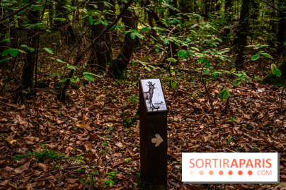 Le sentier des Maréchaux à Senlisse - Vallée de Chevreuse -  A7C2490