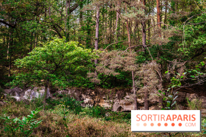 Le sentier des Maréchaux à Senlisse - Vallée de Chevreuse
