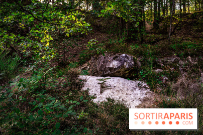 Le sentier des Maréchaux à Senlisse - Vallée de Chevreuse -  A7C2498