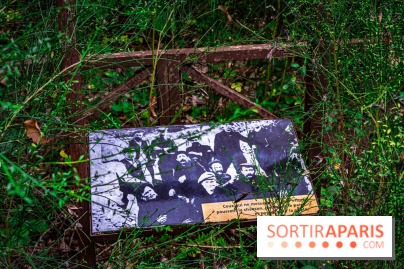 Le sentier des Maréchaux à Senlisse - Vallée de Chevreuse -  A7C2499