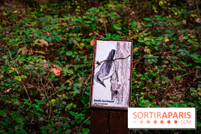 Le sentier des Maréchaux à Senlisse - Vallée de Chevreuse -  panneau faune flore