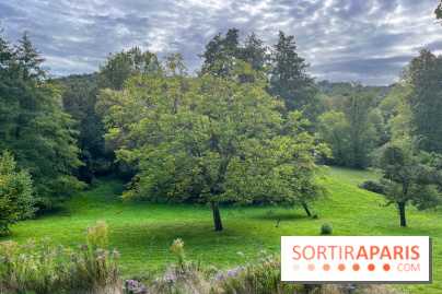 La maison littéraire de Victor Hugo, joyau patrimonial à Bièvres (91) - image00016