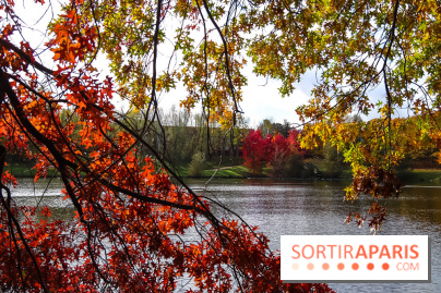 Bassin - étang de la Boissière à Elancourt