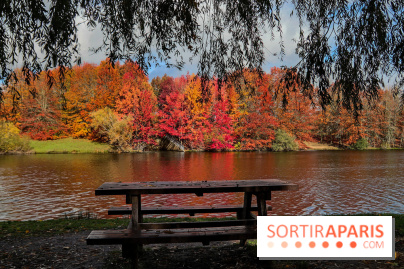 Bassin - étang de la Boissière à Elancourt