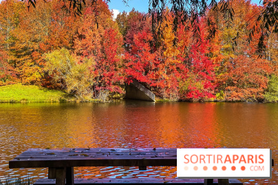 Bassin - étang de la Boissière à Elancourt