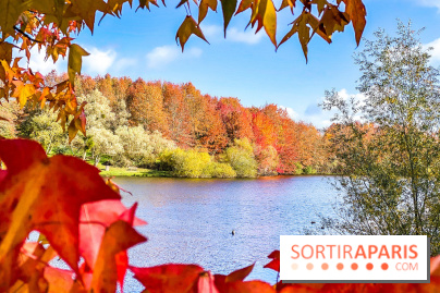 Bassin - étang de la Boissière à Elancourt