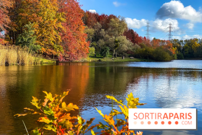 Bassin - étang de la Boissière à Elancourt