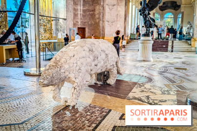 Nuits corticales, l'exposition contemporaine de Loris Gréaud qui transforme le Petit Palais - photos - IMG20231002180641