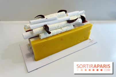 Les bûches de Noël glacées 2023 de David Wesmaël à La Glacerie Paris - DCE4874D 8826 4267 B1C6 EFD723284399