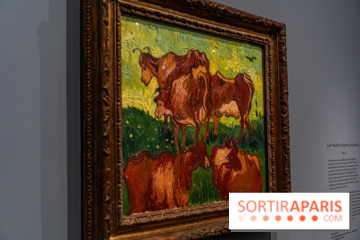 Exposition Van Gogh au Musée d’Orsay - Auvers-sur-Oise, les derniers mois -  A7C3039