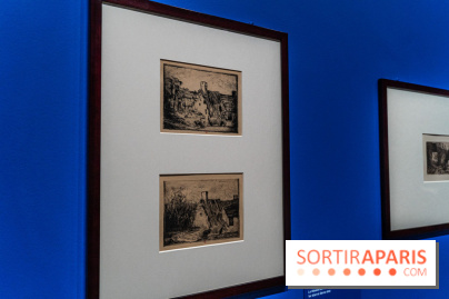 Exposition Van Gogh au Musée d’Orsay - Auvers-sur-Oise, les derniers mois -  A7C3041