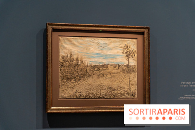 Exposition Van Gogh au Musée d’Orsay - Auvers-sur-Oise, les derniers mois -  A7C3100