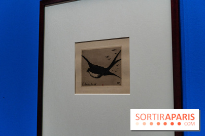 Exposition Van Gogh au Musée d’Orsay - Auvers-sur-Oise, les derniers mois -  A7C3042