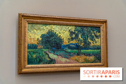 Exposition Van Gogh au Musée d’Orsay - Auvers-sur-Oise, les derniers mois -  A7C3119