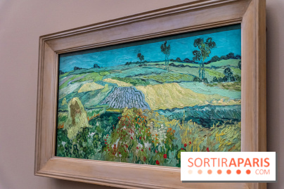 Exposition Van Gogh au Musée d’Orsay - Auvers-sur-Oise, les derniers mois -  A7C3111