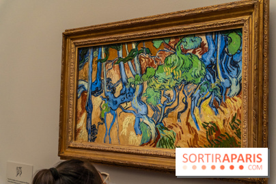 Exposition Van Gogh au Musée d’Orsay - Auvers-sur-Oise, les derniers mois -  A7C3116