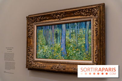 Exposition Van Gogh au Musée d’Orsay - Auvers-sur-Oise, les derniers mois -  A7C3118