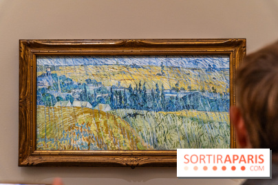 Exposition Van Gogh au Musée d’Orsay - Auvers-sur-Oise, les derniers mois -  A7C3113