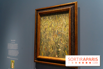 Exposition Van Gogh au Musée d’Orsay - Auvers-sur-Oise, les derniers mois -  A7C3081