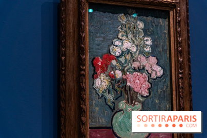 Exposition Van Gogh au Musée d’Orsay - Auvers-sur-Oise, les derniers mois -  A7C3088