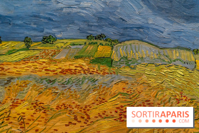 Exposition Van Gogh au Musée d’Orsay - Auvers-sur-Oise, les derniers mois -  A7C3103