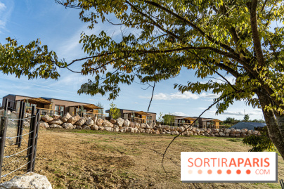 Les lodges de Thoiry - dormir à Thoiry en Terres d'Afrique - Photos -  A7C3247