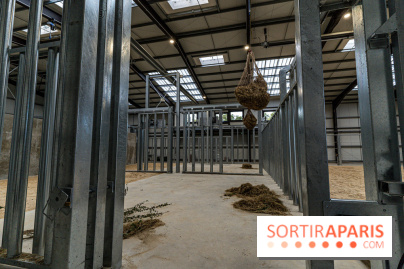 Les lodges de Thoiry - dormir à Thoiry en Terres d'Afrique - Photos -  A7C3254