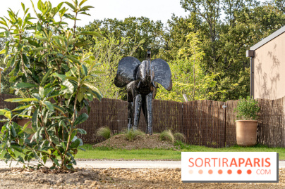 Les lodges de Thoiry - dormir à Thoiry en Terres d'Afrique - Photos -  A7C3256