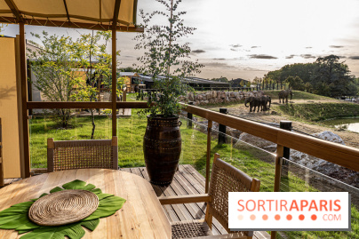 Les lodges de Thoiry - dormir à Thoiry en Terres d'Afrique - Photos -  A7C3278