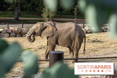 Les lodges de Thoiry - dormir à Thoiry en Terres d'Afrique - Photos -  A7C3299