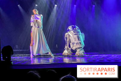 Star Wars The Empire Strips Back