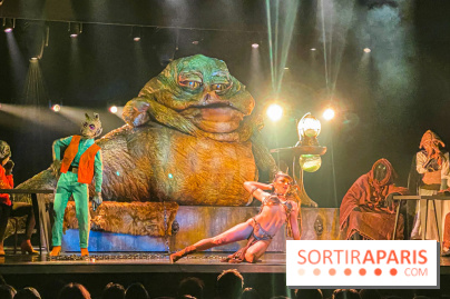 Star Wars The Empire Strips Back