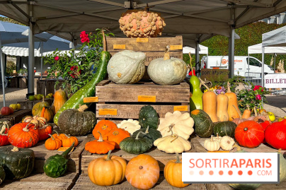 Automne au Potager du Roi - Citrouilles - Halloween