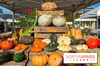 Automne au Potager du Roi - Citrouilles - Halloween