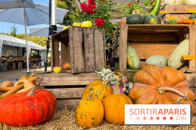 Automne au Potager du Roi - Citrouilles - Halloween