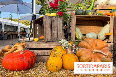 Automne au Potager du Roi - Citrouilles - Halloween