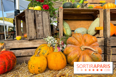 Automne au Potager du Roi - Citrouilles - Halloween