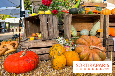 Automne au Potager du Roi - Citrouilles - Halloween