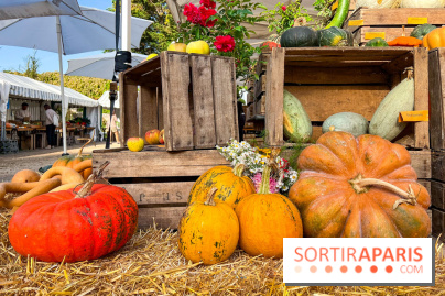 Automne au Potager du Roi - Citrouilles - Halloween