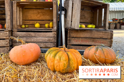 Automne au Potager du Roi - Citrouilles - Halloween