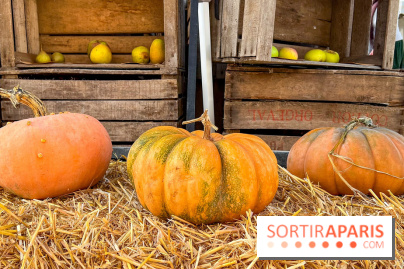 Automne au Potager du Roi - Citrouilles - Halloween