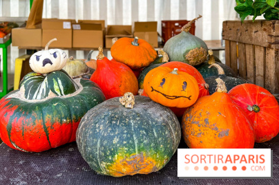 Automne au Potager du Roi - Citrouilles - Halloween